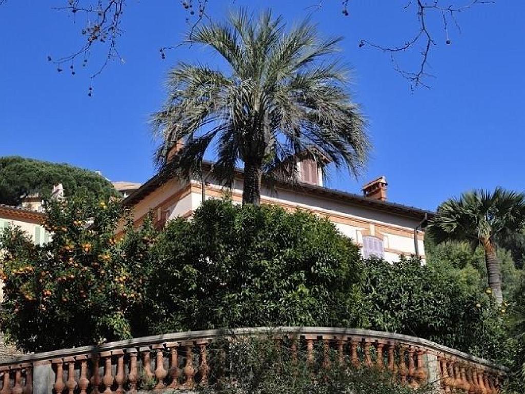 183 D23 BORMES LES MIMOSAS 1_000010.jpg